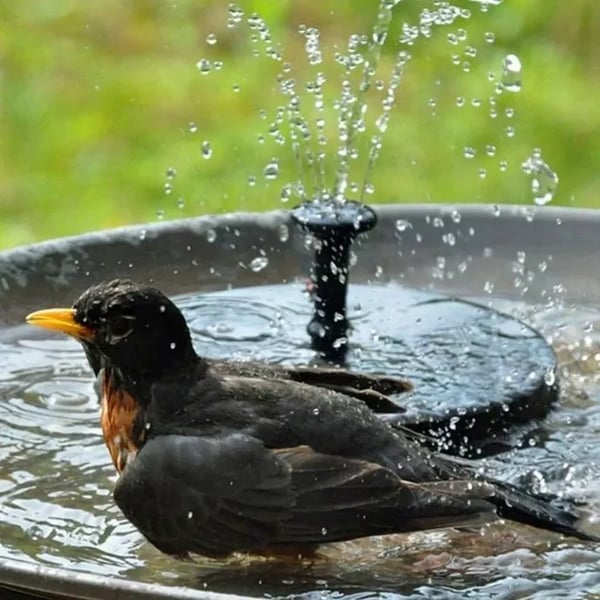 🎁Solar Fountain, Solar Powered Bird Bath Fountain Pump with 4 Nozzles 1.4W Solar Panel Kit Water Pump, Outdoor Watering Submersible Pump for Pond, Pool, Garden, Fish Tank